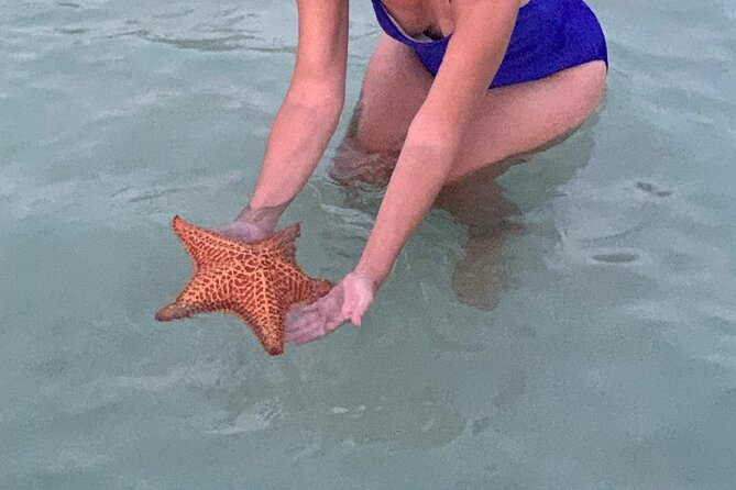 Grand Cayman Bioluminescent Bay Tour - Starfish Point offers a gentle first stop