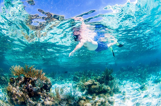 Grand Cayman Kittiwake and Reef Sail - Swimming over the USS Kittiwake