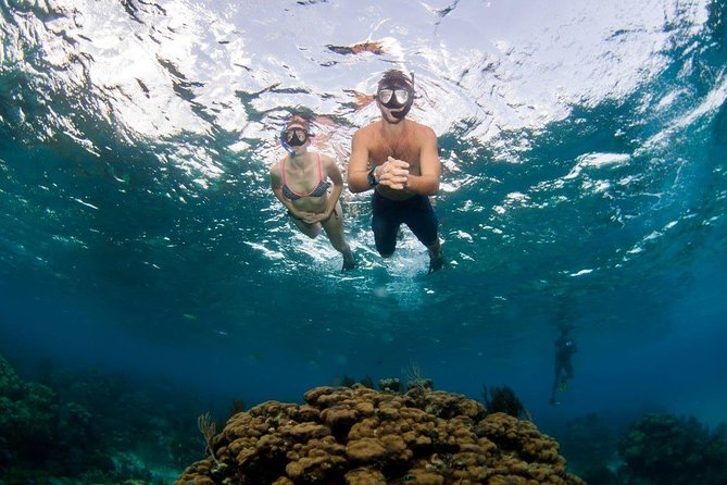 Grand Cayman Kittiwake and Reef Sail - Finding fish at the shallow coral reef