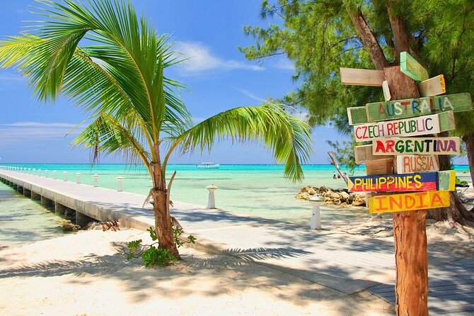 Grand Cayman Private Customized Bus Tour - Why a private Grand Cayman bus makes sense