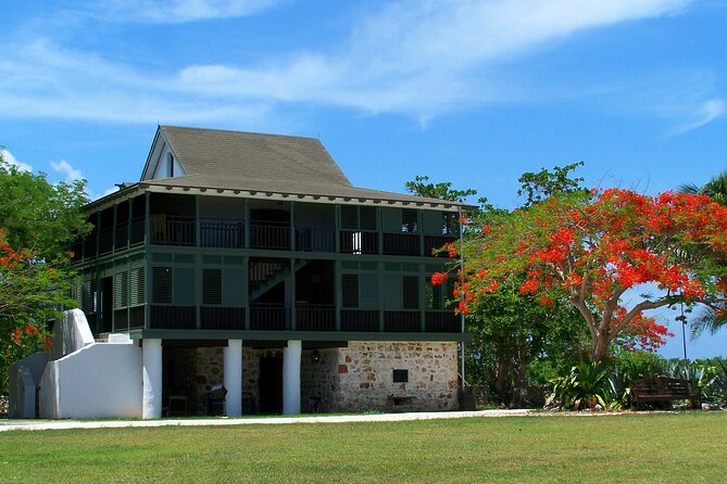 Grand Cayman Private Customized Bus Tour - Cayman Turtle Farm and the family-friendly option