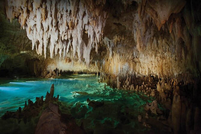 Grand Cayman Private Customized Bus Tour - Hell, postcards, and a memorable roadside lunch