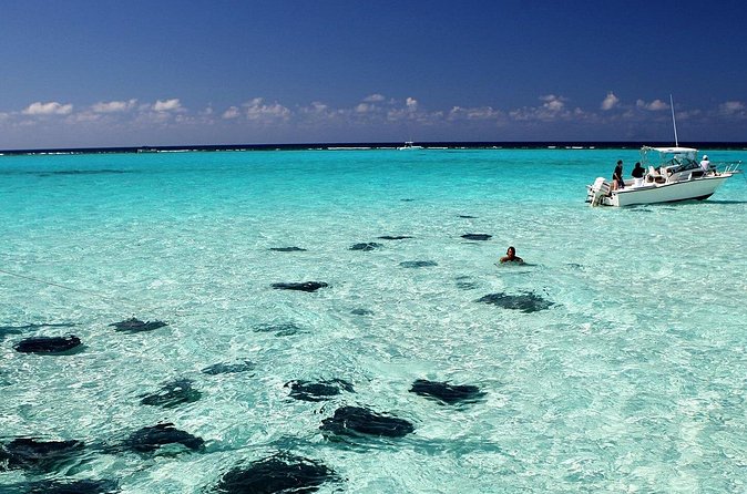 Grand Cayman Stingray City and Reef Snorkeling Combo Tour - Stingray City at five feet deep