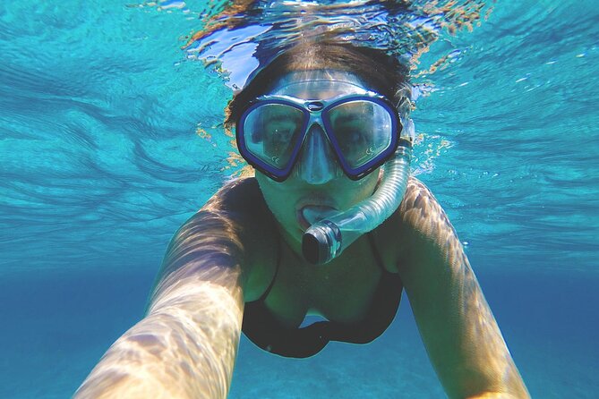 Grand Cayman Stingray City and Reef Snorkeling Combo Tour - Reef snorkeling at Barrier Reef or Coral Gardens