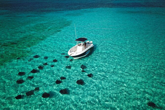 Half Day Private Boat Charter in Grand Cayman - Setting out from Camana Bay