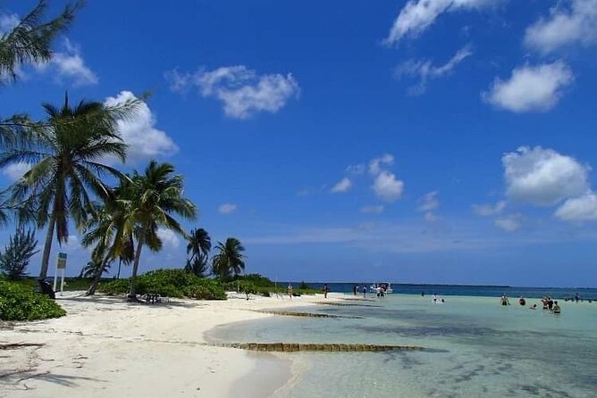 Half Day Private Boat Charter in Grand Cayman - Optional beaches, bars, and a more personal route
