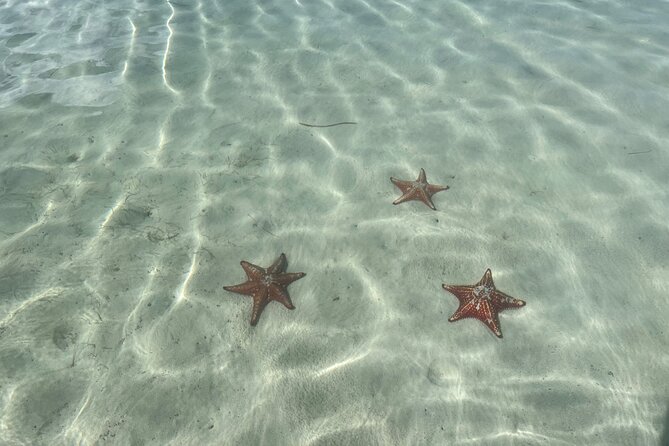 Half Day Private Boat Charter in Grand Cayman - Price, inclusions, and real value