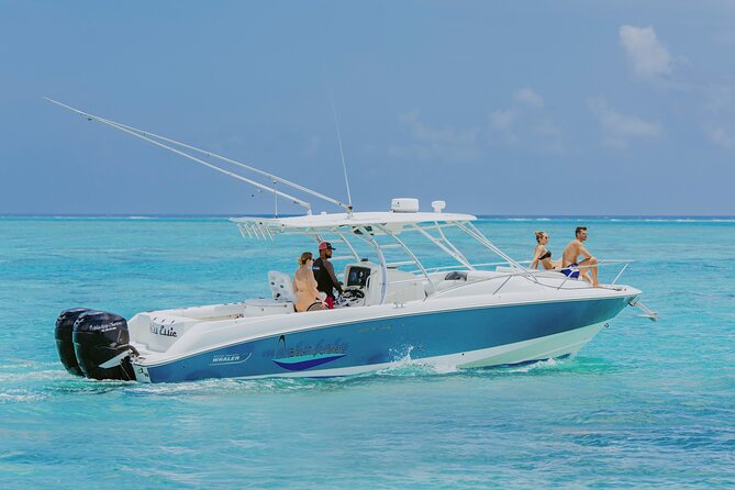 Half-Day Private Stingray City Charter - Grand Cayman - BTC - Key points at a glance
