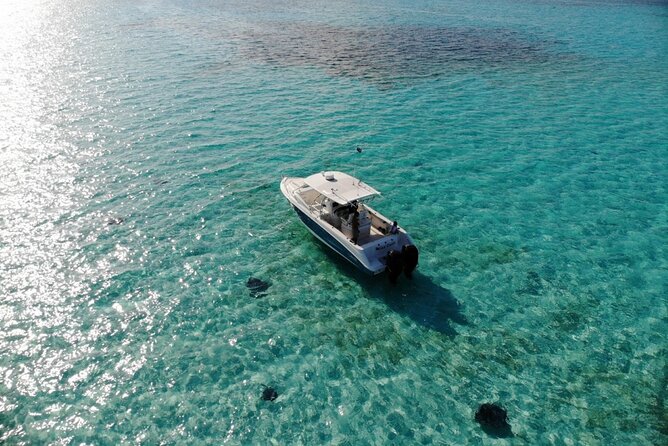 Half-Day Private Stingray City Charter - Grand Cayman - BTC - A private way to see Grand Cayman from the water