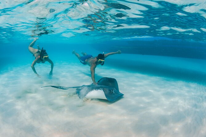 Half-Day Private Stingray City Charter - Grand Cayman - BTC - Starfish Point for a quieter final stop