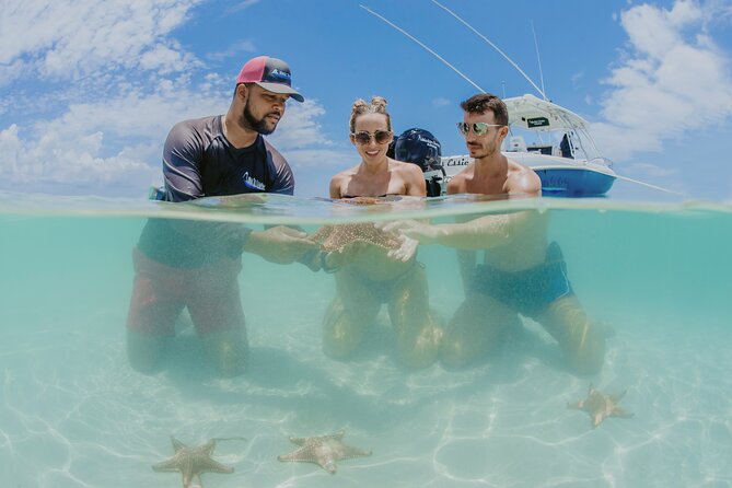 Half-Day Private Stingray City Charter - Grand Cayman - BTC - Timing, weather, and the small details that matter