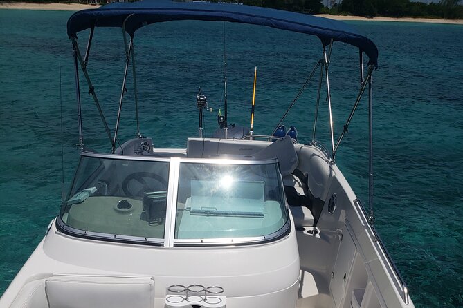Half-Day Private Stingray City Charter in Cayman Islands - Leaving from Cayman Islands Yacht Club