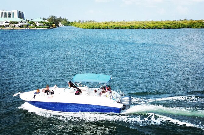 Half-Day Private Stingray City Charter in Cayman Islands - Starfish Point: a slower 45 minutes