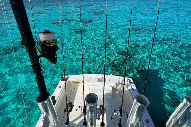 Luxury Private Fishing Charters - FULL DAY CHARTER - A luxury fishing boat, not just a working platform