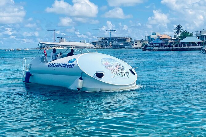 Oculus Glass Bottom Boat Tour - Key points at a glance