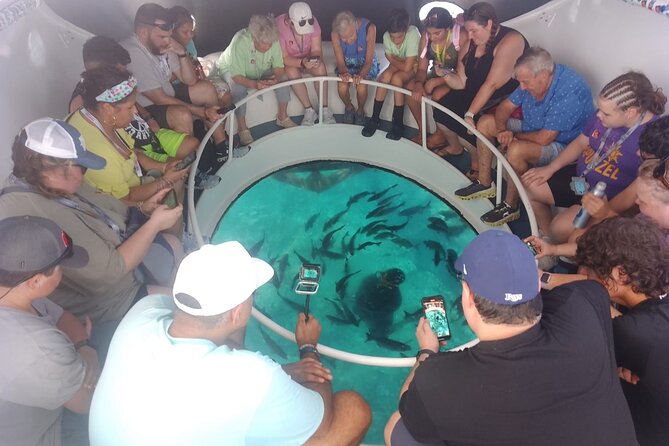 Oculus Glass Bottom Boat Tour - A 15-minute stop at Cheeseburger Reef