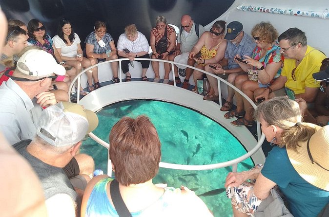 Oculus Glass Bottom Boat Tour - What the crew adds to the ride