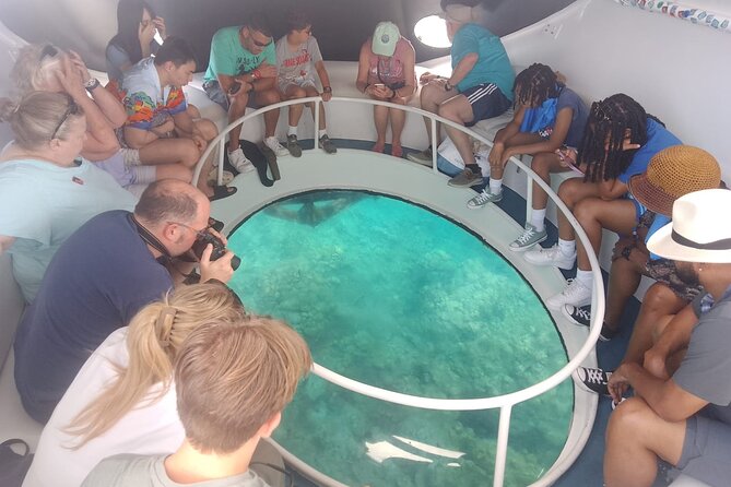 Oculus Glass Bottom Boat Tour - How the $59.95 price measures up