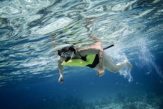 Private 4 hour Catamaran Tour - Starfish Point for a slower pause