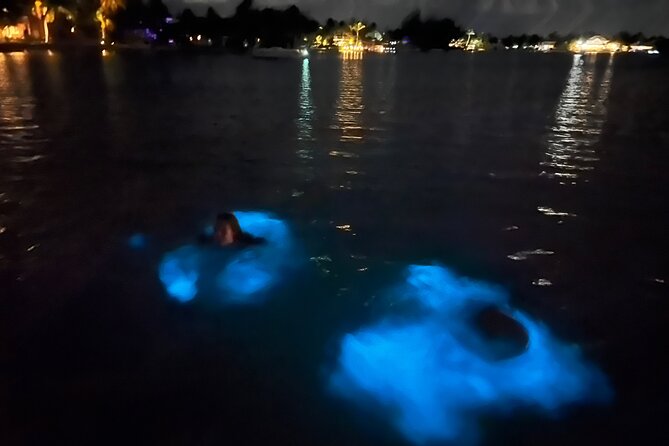 Private: Bioluminescence Tour - Key points to know before you book