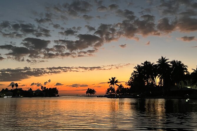 Private: Bioluminescence Tour - Setting out from Camana Bay after dark