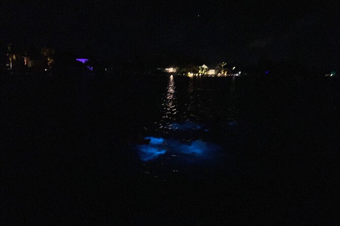 Private: Bioluminescence Tour - What to bring for a more comfortable night