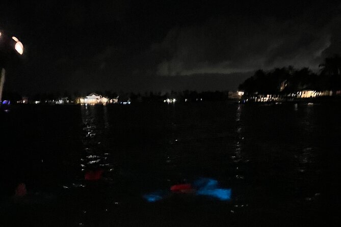 Private: Bioluminescence Tour - Guides who shape the night