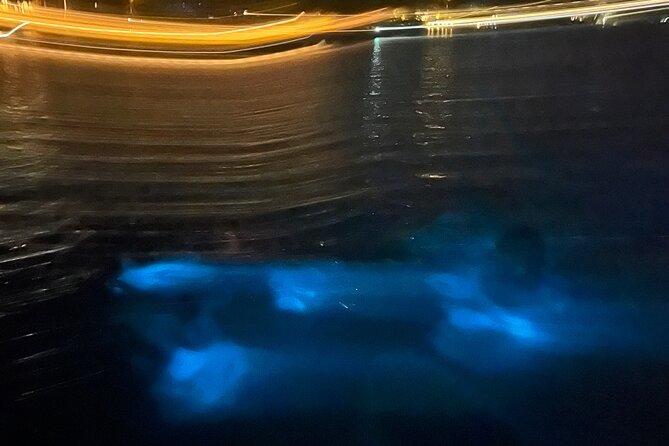 Private: Bioluminescence Tour - Safety, comfort, and the limits of the experience