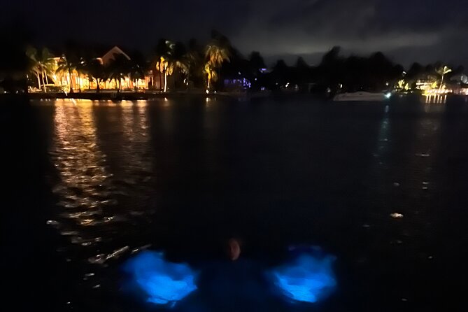 Private: Bioluminescence Tour - Is $599 a good value?