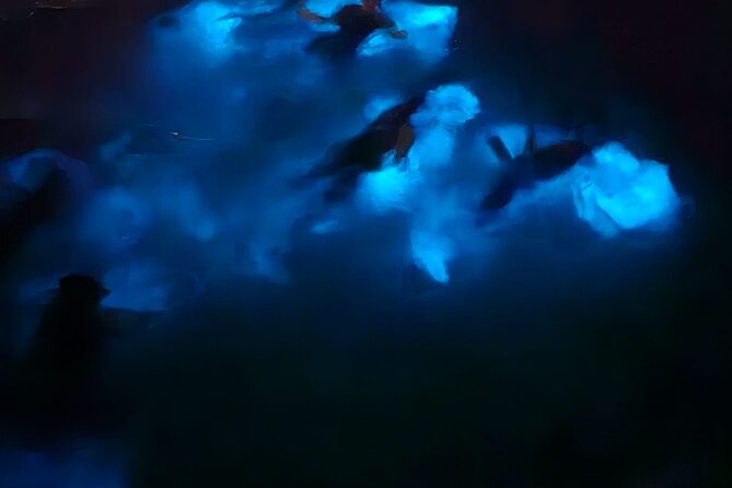 Private Bioluminescence Tour in Grand Cayman - Why the private group format matters
