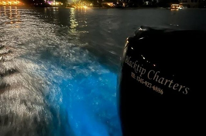 Private Bioluminescence Tour in Grand Cayman - What comes with the $1,025 price