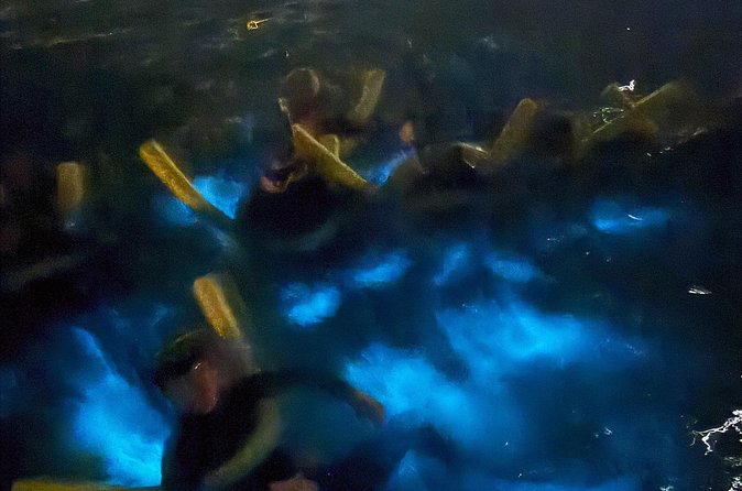 Private Bioluminescence Tour in Grand Cayman - Who will enjoy this most