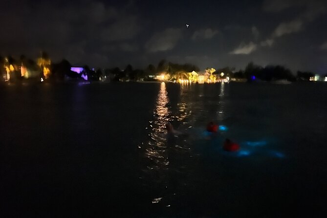 Private: Bioluminescence Tour - Reaching the bioluminescent bay