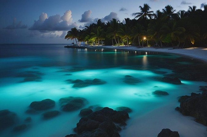 Private Bioluminescent Bay Tour - The possible glow-worm bonus