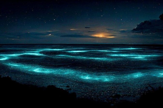 Private Bioluminescent Bay Tour - What the private format is really worth