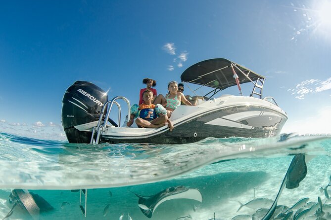 Private Bioluminescent Bay Tour - Timing, cancellations, and practical planning
