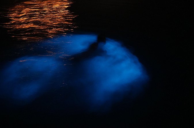 Private Boat Charter Experience in Bio Bay Cayman Island - The real question: how bright will the water be?