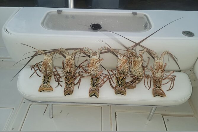 Private Boat Charter in Cayman Islands - Starfish Point and the care of sea life