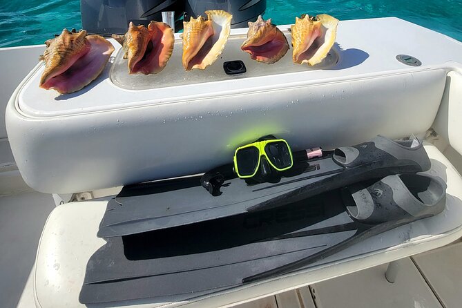 Private Boat Charter in Cayman Islands - Rum Point and Coral Gardens