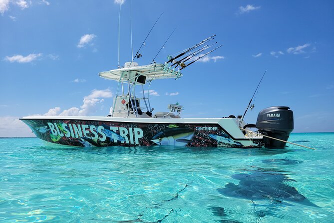 Private Boat Charter in Cayman Islands - Stingray City: the best first stop