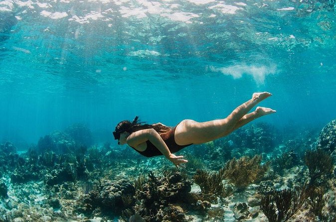 Private Boat Charter Snorkeling Stingray City or Bio Bay - The bioluminescent bay after dark