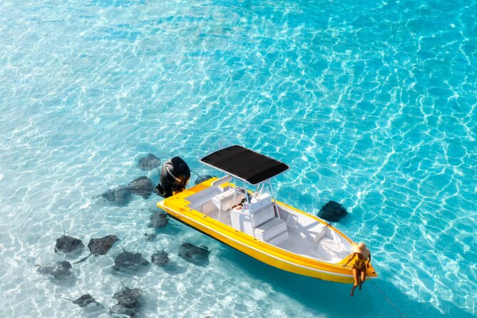 Private Boat Tours: Customize Your Grand Cayman Adventure! - Snorkeling among Grand Cayman’s reefs