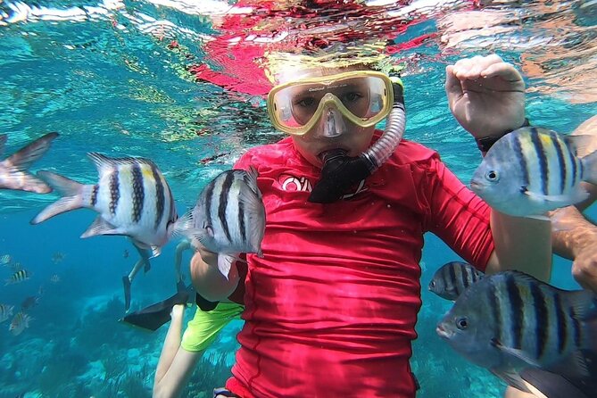 Private Charter 28ft Grady White. Stingrays, Snorkeling, Starfish - Practical timing and cancellation advice