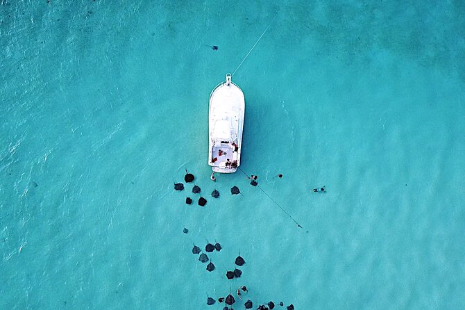 Private Charter 34ft Express Cruiser Stingay City Reef Snorkeling - Key points to know before you book