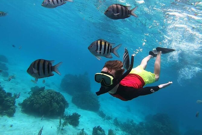 Private Charter 34ft Express Cruiser Stingay City Reef Snorkeling - Starfish Point and the red cushion sea stars
