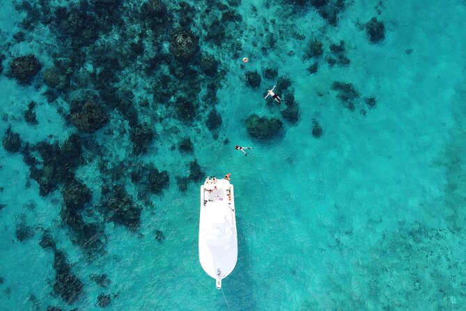 Private Charter 34ft Express Cruiser Stingay City Reef Snorkeling - The boat, comfort, and group fit