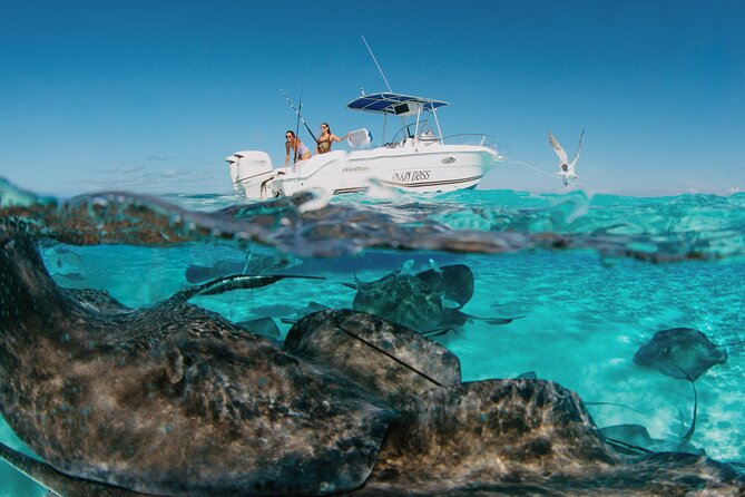 Private Charter Reef fishing, Stingray City, Snorkel, Mangroves - Key Points at a Glance