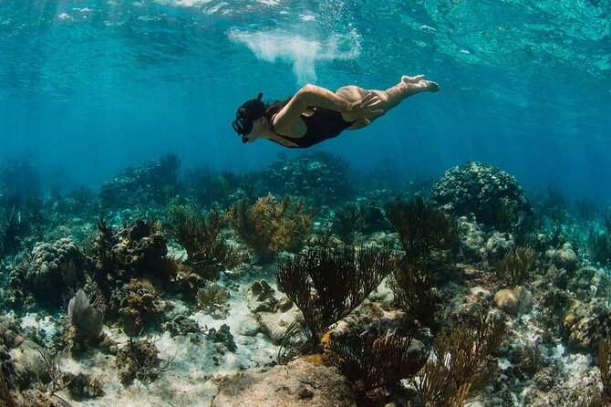 Private Charter Reef fishing, Stingray City, Snorkel, Mangroves - Snorkeling, Mangroves, and the Quieter Side of Grand Cayman