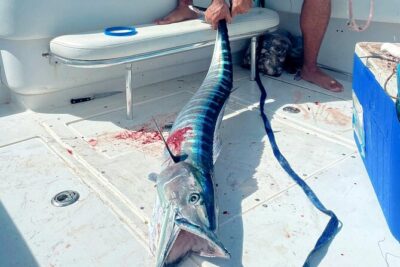 Private Deep Sea Fishing Experience in Grand Cayman