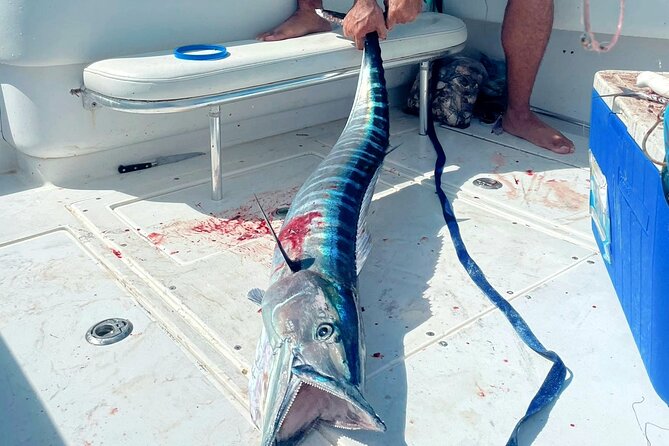 Private Deep Sea Fishing Experience in Grand Cayman - Captain Dylan’s flexible plan for five hours